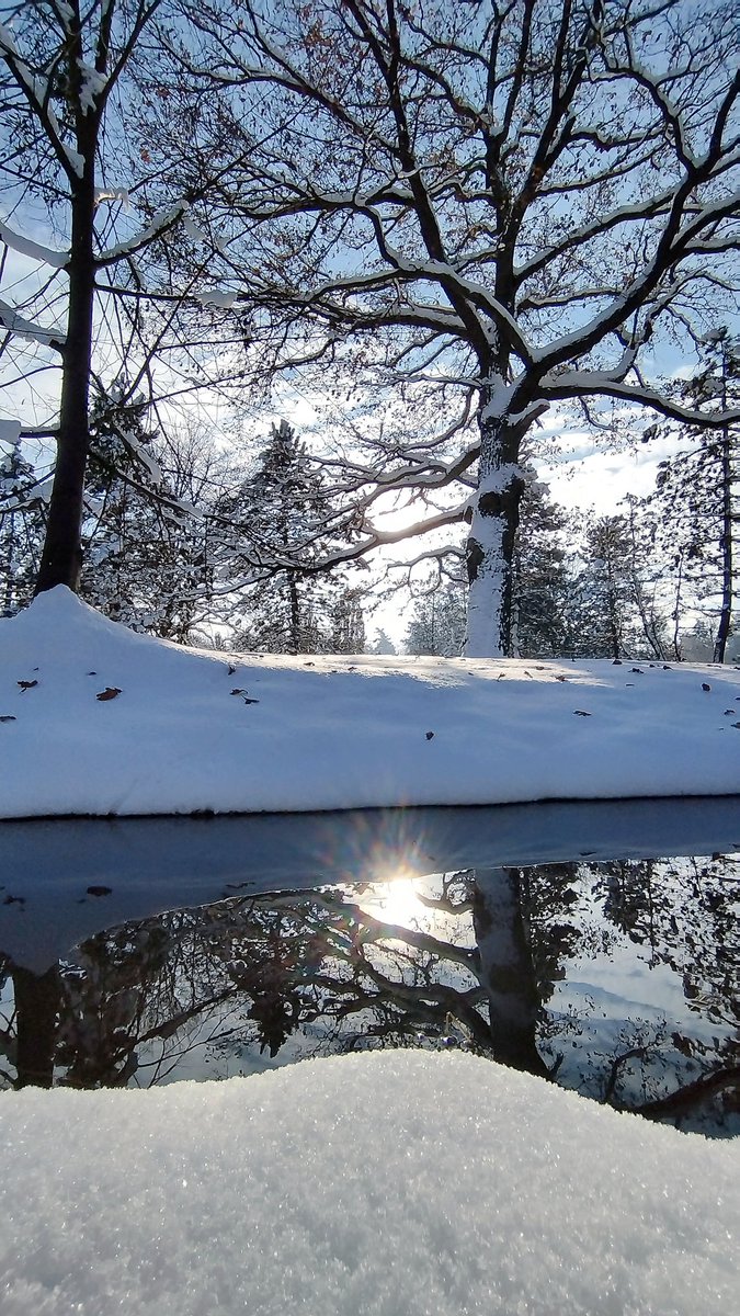 LilKen_81's tweet photo. #ParkŚwierklaniec #ParkSwierklaniec #Świerklaniec #Swierklaniec #park #zima #PolskaZima #winter #PolishWinter https://t.co/pvu6JmZjn5