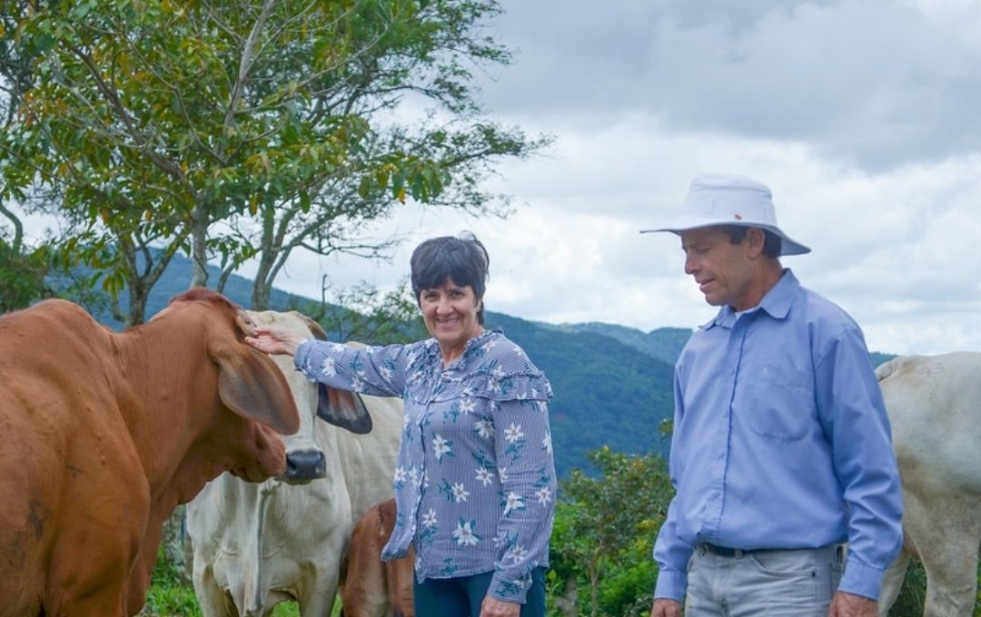 🟤 En el #DíaMundialdelSuelo conoce la experiencia de una familia en #CostaRica 🇨🇷 que apostó por la ganadería climáticamente inteligente para favorecer la tierra y con ella el desarrollo local sostenible e inclusivo. 🐄🐂🧑‍🌾👩‍🌾🍃 

👉 Lee la historia aquí: bit.ly/49ZxNSh