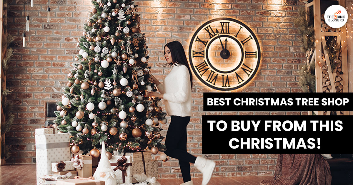 Best Artificial Christmas Tree Shop 2023
trendingblogers.com/artificial-chr…

#Christmas #Artificial #artificialchristmas