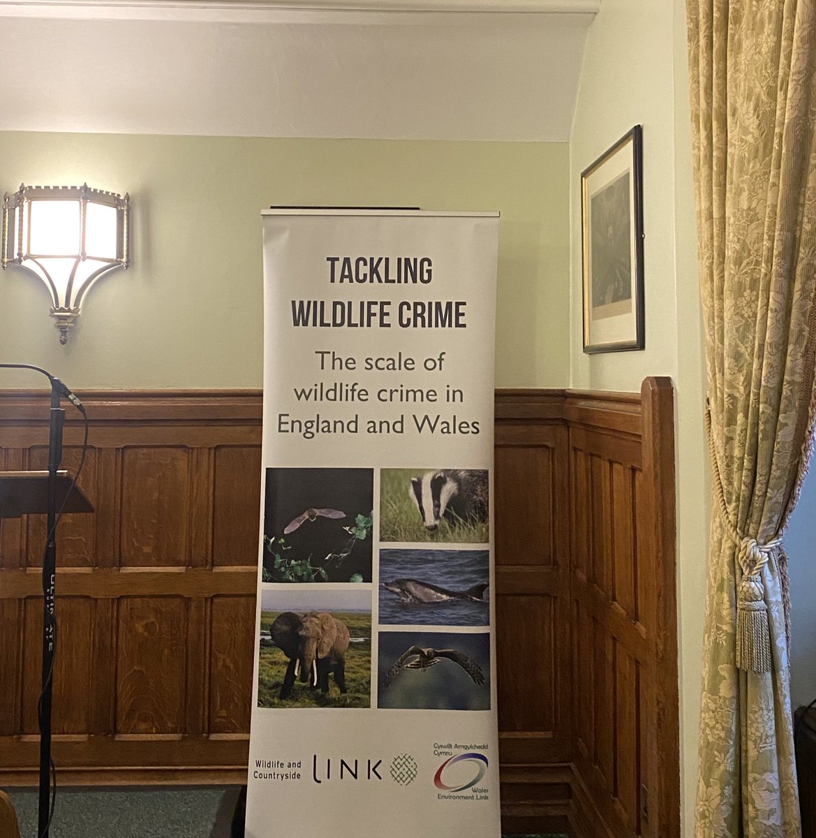 🦡 We were delighted to be in Parliament this morning for the @WCL_News Wildlife Crime Report launch 👏 It was great to see many NGOs, politicians and police come together to discuss how we can tackle wildlife crime 🦅 Check out the report here 👉 wcl.org.uk/wildlife-crime…