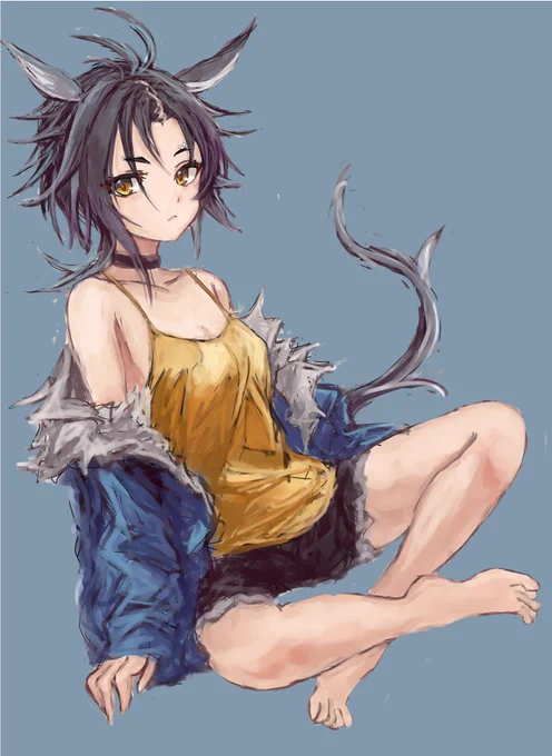 エアシャカールあぐらー 