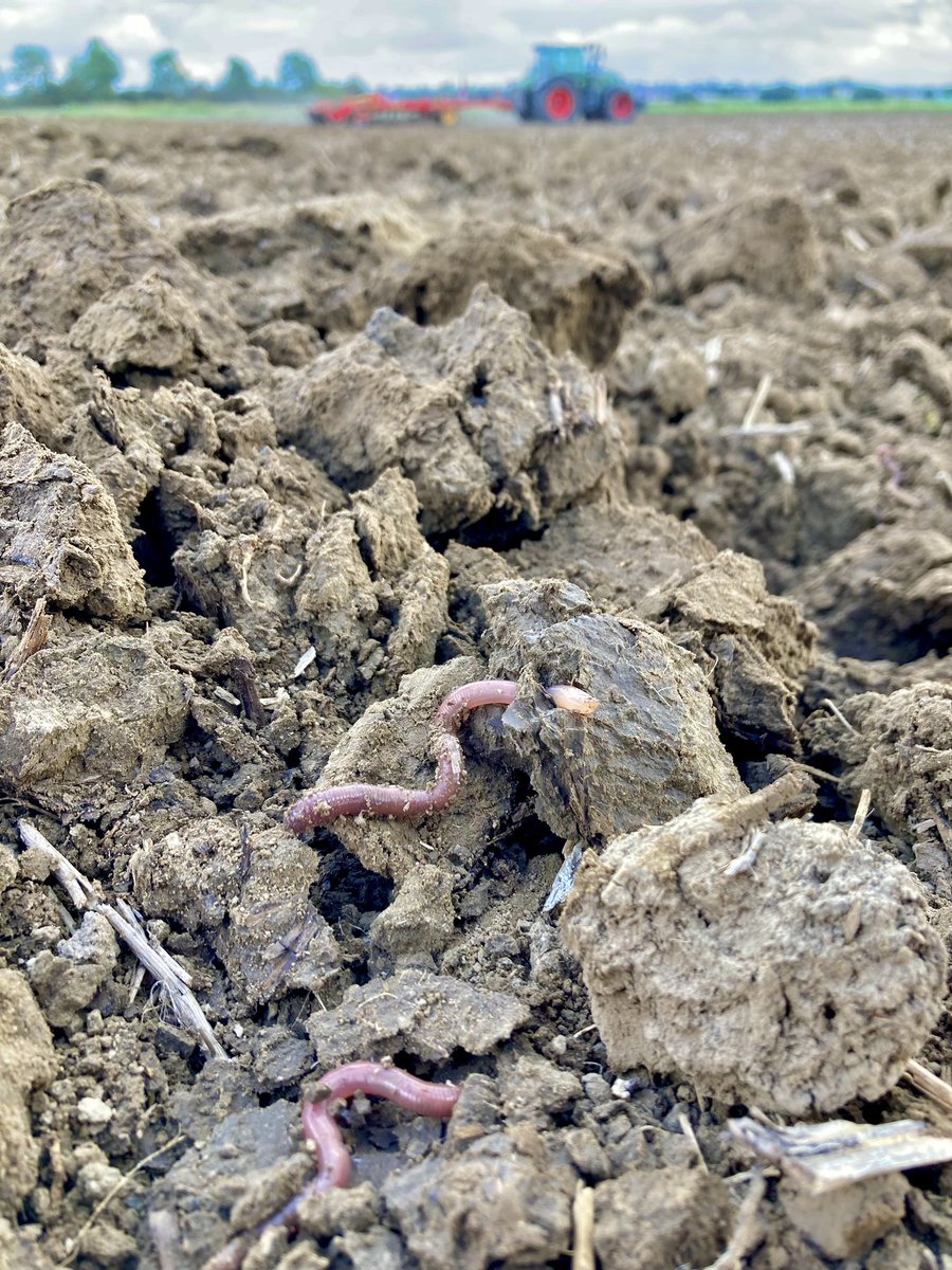 Erichshof's tweet photo. Am #Weltbodentag ein paar Bilder von Unserem Boden. Der Grundlage unserer Lebensmittelerzeugung, die wir sorgsam nutzen und bewahren. #heute_morgen_immer 
#Weltbodentag2023 #worldsoilday https://t.co/Vj9oC0NPGt