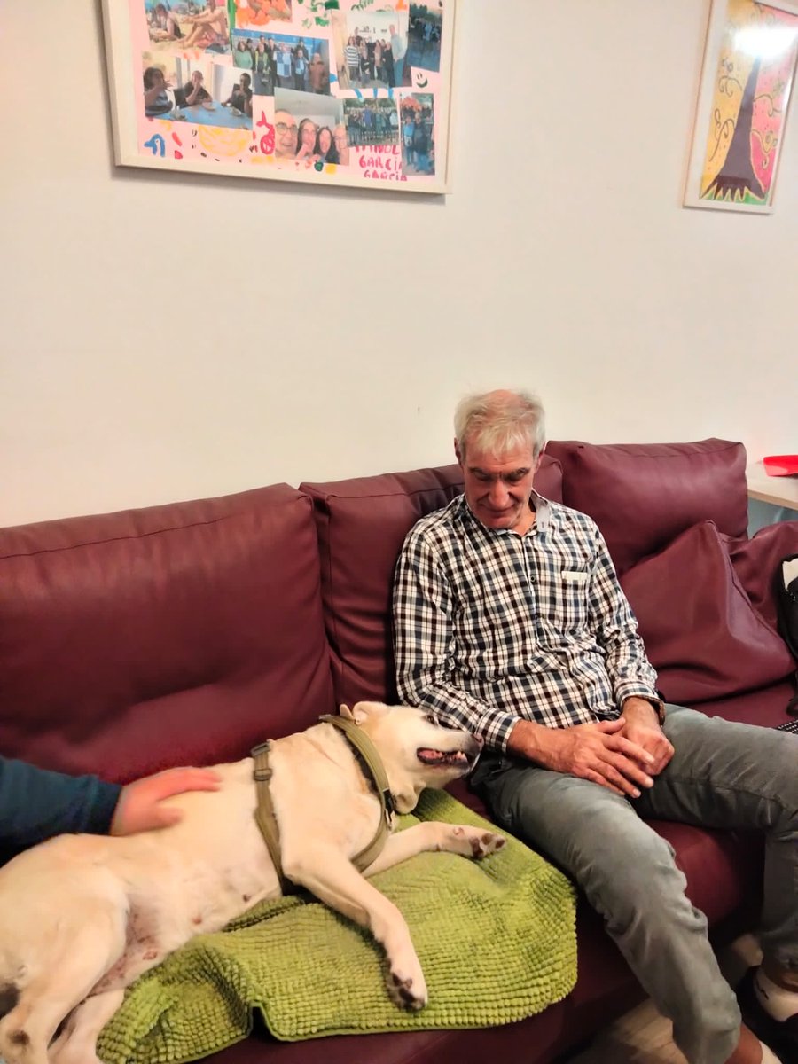FAtendis's tweet image. 😍 Mireu quina visita més especial van tenir els companys de la Llar-Residència #Jacquard divendres passat.

🐕🐕 La Giner i la Taca, de Mira'm (@miram_iaa), ens van oferir una intervenció assistida amb gossos que trigarem molt a oblidar!

#SomAtendis