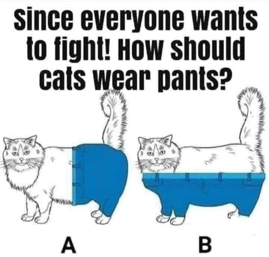 gränsfallet 🐊🐦 tweet media