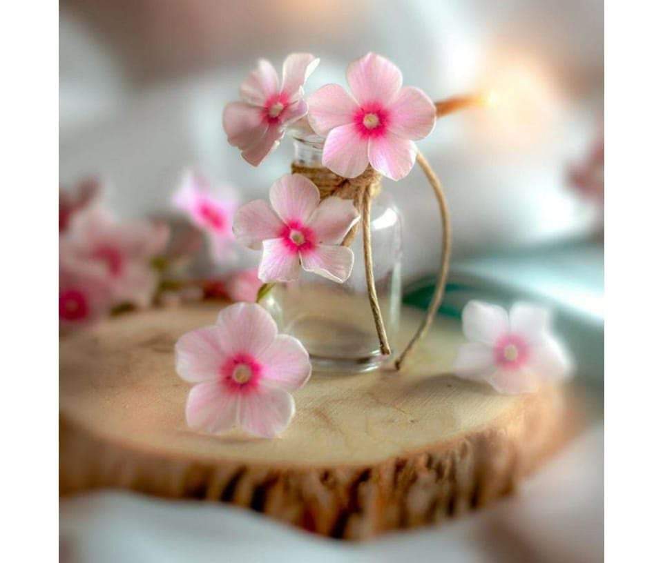 💕ﺍﭼﮭﮯ ﻟﻮﮒ ﺳﮍﮎ ﮐﮯ ﮐﻨﺎﺭﮮ ﻟﮕﯽ ﺍﻥ ﺭﻭﺷﻨﯿﻮﮞ ﮐﯽ ﻣﺎﻧﻨﺪ ﮨﻮﺗﮯ ﮨﯿﮟ ﺟﻮ ﻓﺎﺻﻠﮯ ﮐﻢ ﺗﻮ ﻧﮩﯿﮟ ﮐﺮﺗﮯ ﻣﮕﺮ ﺳﻔﺮ ﺁﺳﺎﻥ ﺿﺮﻭﺭ ﺑﻨﺎ ﺩﯾﺘﮯ ﮨﯿﮟ💕
#X_promo