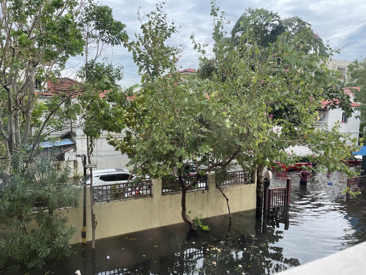 shalusenthil's tweet photo. We swam through Oily water in thoraipakkam. 2 more people in my family is still stuck. Need boat service help.. #CasagrandPallagio #thoraipakkam #Kamarajstreet #boatservice https://t.co/7zPQQVfORY