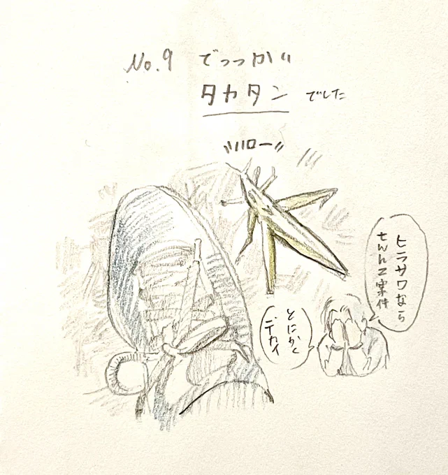 9.洗濯バサミかと思ったら 