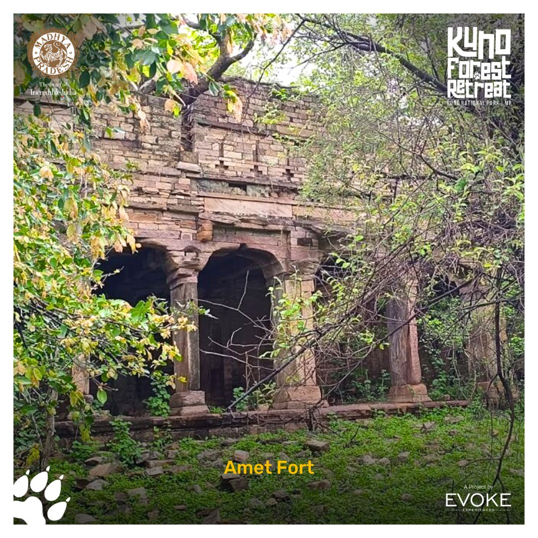 Where history echoes in the stones, Amet Fort stands as a silent guardian of tales untold.

#AmetFortStories #EchoesOfHistory #GuardianOfTales #SilentWitness #UntoldLegends #HistoricalWhispers  #HistoricSites #HistoricalExploration #madhyapradesh #kunonationalparkcheetah