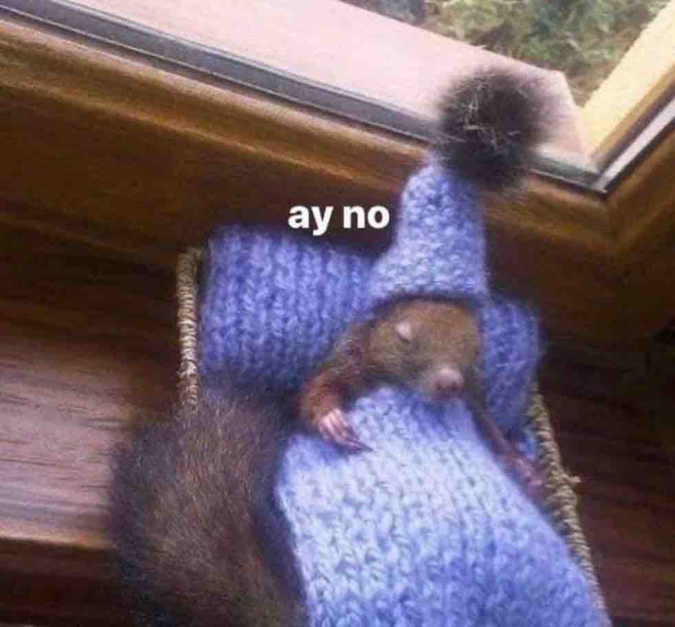 Guarromantico_'s tweet photo. Yo cuando suena la alarma: https://t.co/PEExDBALGt