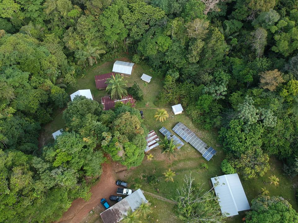 Come and work in French Guiana! We are looking for a researcher in forest ecology to become the scientific manager of Paracou forest research station. Permanent position with <a href="/Cirad/">Cirad</a>. Application online before 10 January. Please RT!
recrutement.cirad.fr/job/job-resear…