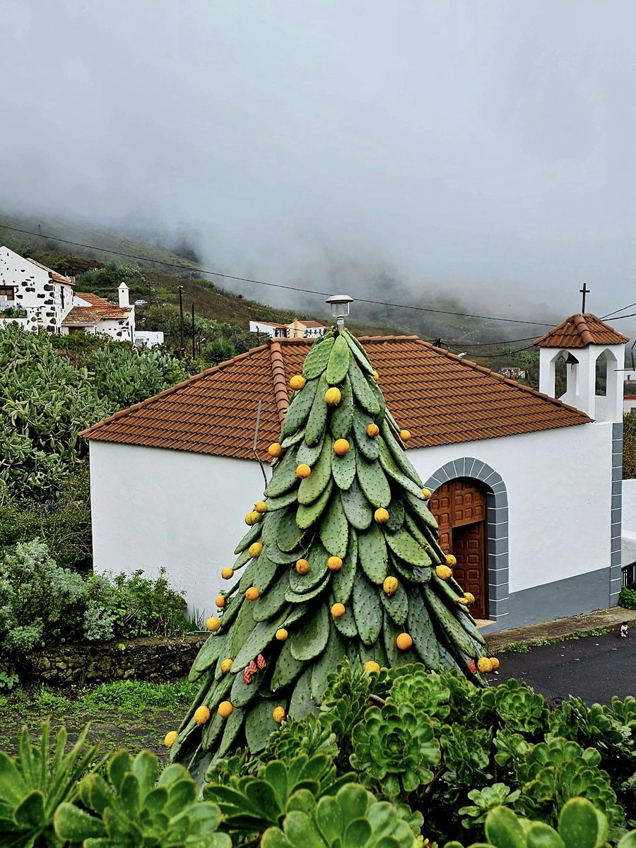 Árbol de navidad a lo canario 🎄🌵🇮🇨

En el pueblo de Tiñor, el más pequeño de la isla de #ElHierro, ya tienen su particular árbol de Navidad hecho con tuneras.  

📷Francis Gutierrez Machin

#ElHierro #Canarias #IslasCanarias