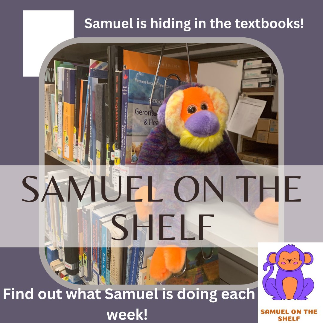 Meet Samuel on the Shelf! Find out what Samuel is doing each week!