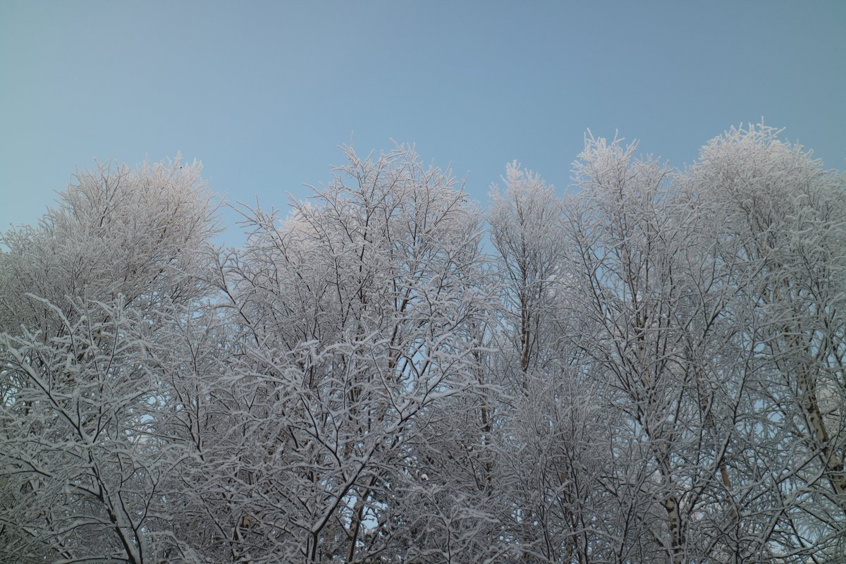 annefinn88's tweet image. Cold face, warm heart. Happy Tuesday! ❄️ #HappyTuesday #gettingdark #winterview #winterwonderland #snow #lumi #nature #itscold #fuckitscold #coldday #cold #kylmä #finland #december #joulukuu #tiistai #Tuesday