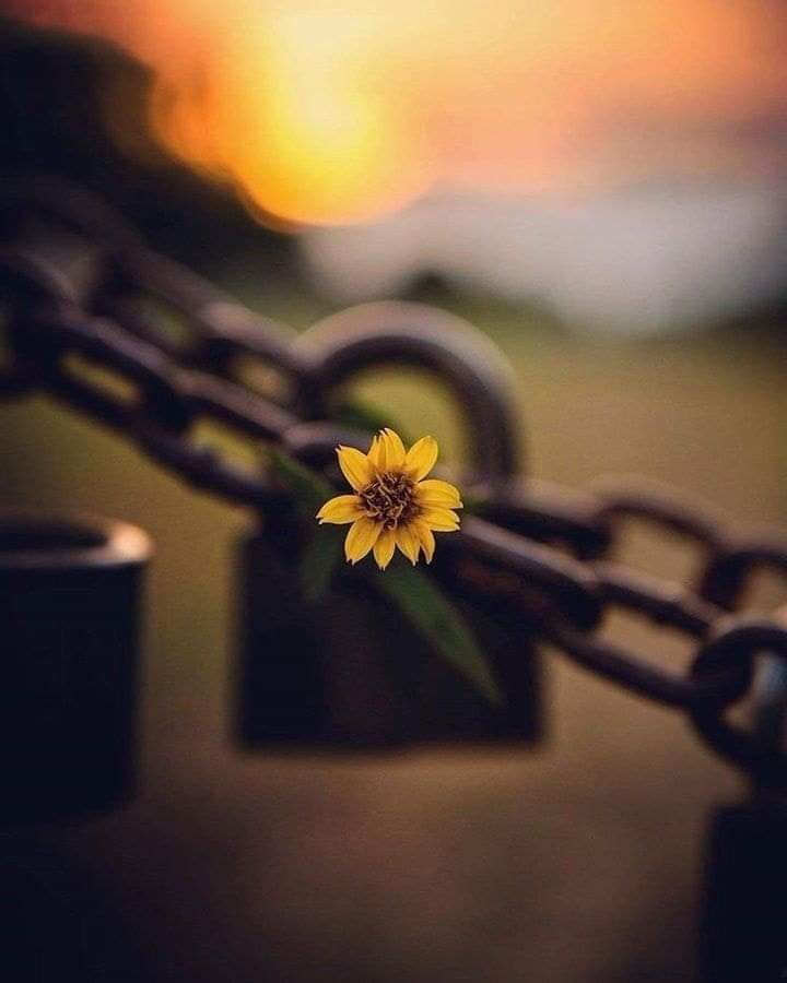 *وقت ایسا چل رہا ہے* 
 *جہاں تمام اچھی باتیں*
  *ہمدردیاں، سچی محبتیں سوشل*
*میڈیا پر موجود ہیں* 
 *ہمارے کِردار میں نہیں🍂
#X_promo