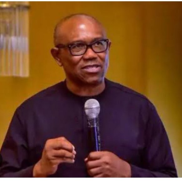 Realonline66265's tweet photo. The Labour Party's presidential candidate, Peter Obi, expressed deep sorrow following the tragic loss of lives resulting from a drone airstrike by the Nigerian Army in the Igabi Local Government Area of Kaduna State.

https://t.co/mhxujwukbW https://t.co/QneIs0GwFn