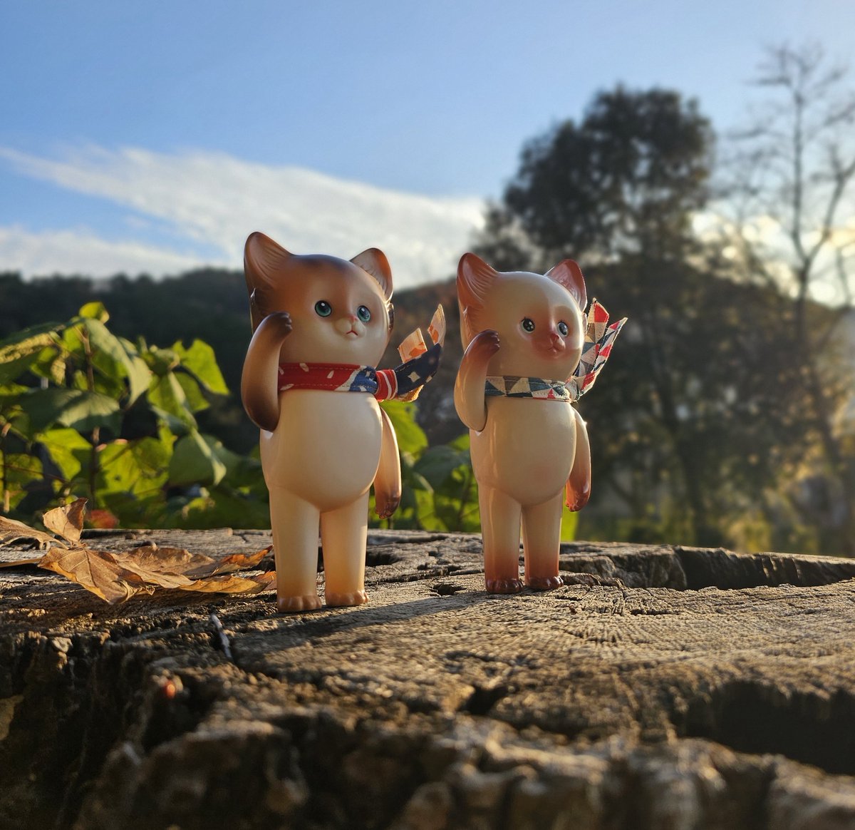 Cojika Toys』さん POTA & ソフコン NEKO Nice to meet you brother