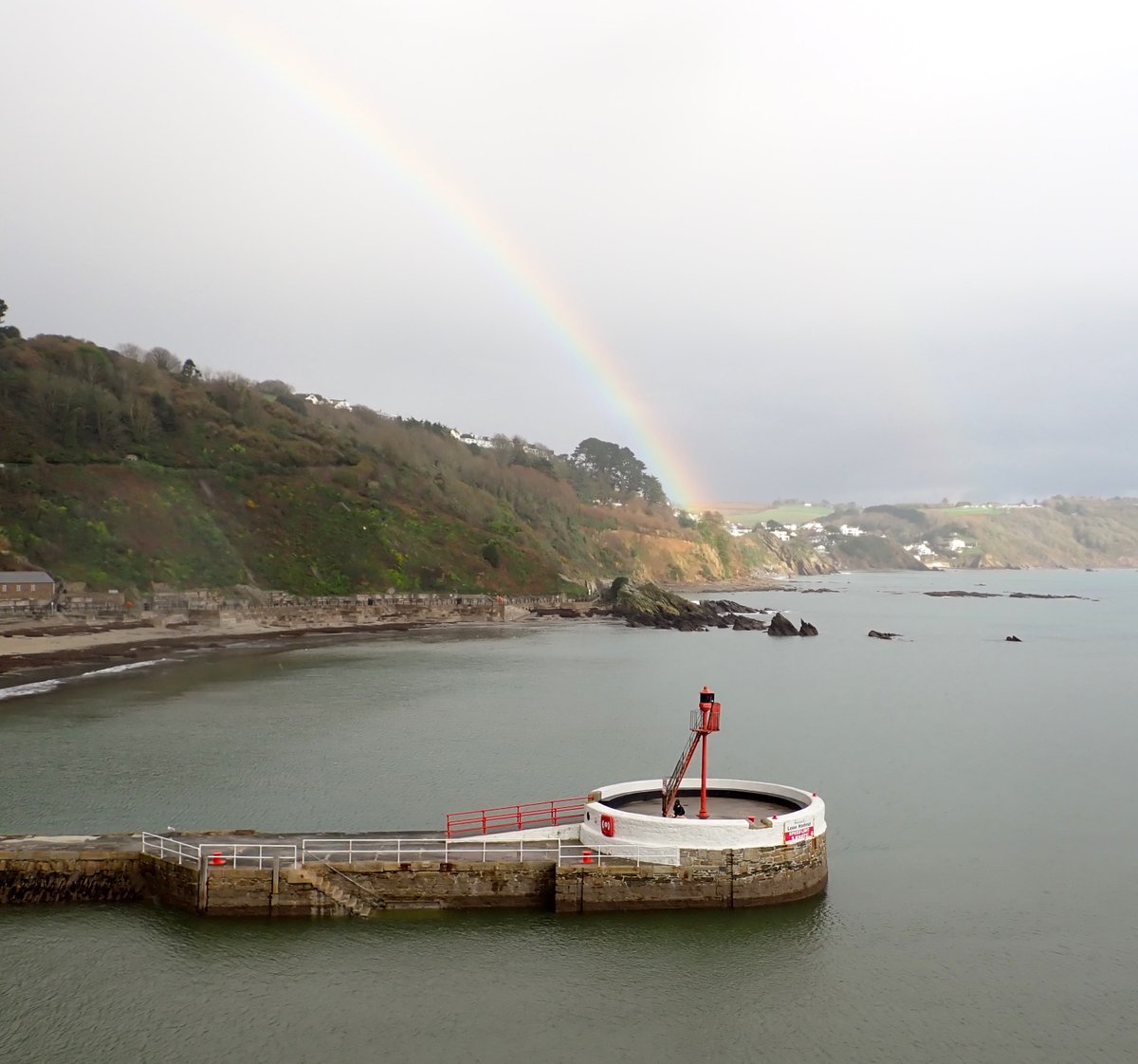 A cheery sight on a dull day.