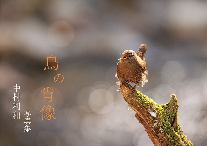 Toshikazu Nakamura tweet media
