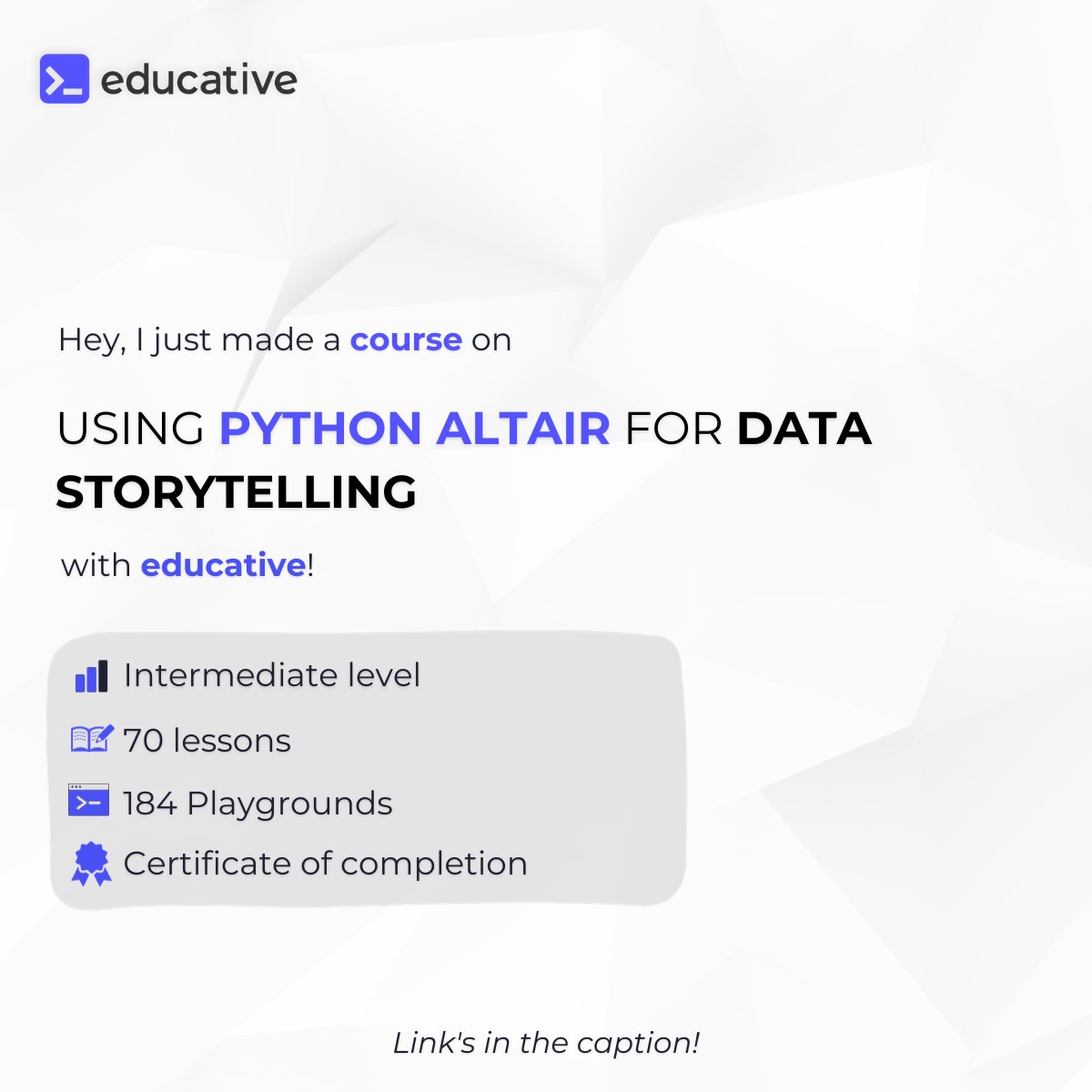 Angelica Lo Duca tweet media