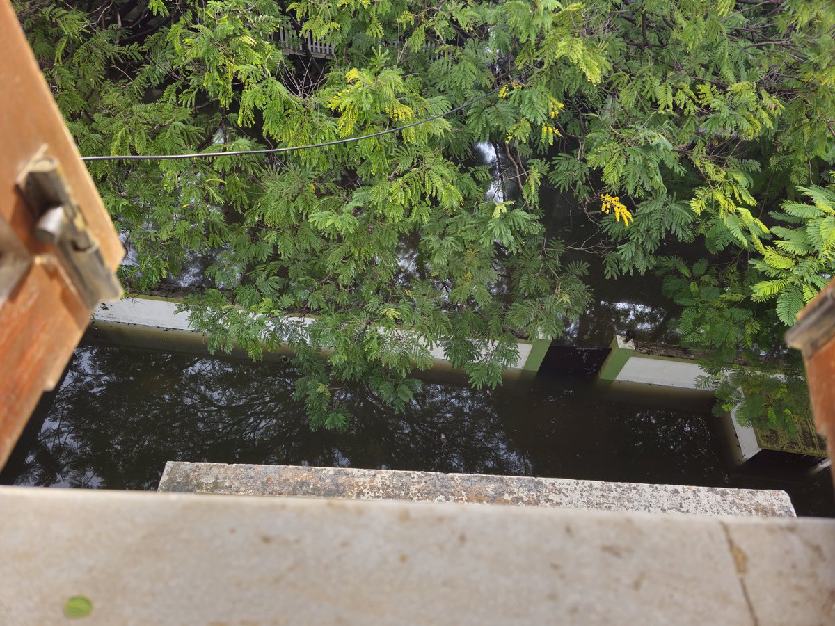 AparajithaBalu's tweet photo. @chennaiweather Venus Colony 1st and 2nd Street, Alwarpet. Water isn't receding. No current. No network. Help @chennaicorp https://t.co/xfnY5xERtd