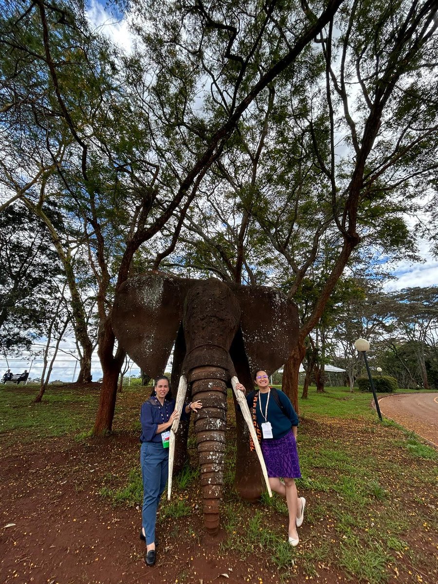 Ocean Voices Fellows, Gemma Nelson and Kathryn Audroing, recently participated in INC-3 in Nairobi to develop an international legally binding instrument on plastic pollution. Read the news post about their time in Nairobi here: ocean-voices.ed.ac.uk/news/developin…