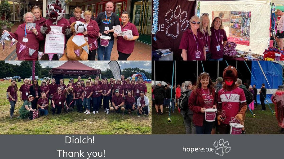 On #InternationalVolunteerDay, we’re saying a huge thank you to our fantastic volunteers.

Your support helps us achieve so much for vulnerable dogs in our communities.

We think you’re amazing.

Diolch

#InternationalVolunteerDay