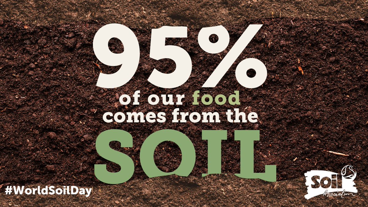 95% of our food comes from soil - practically all of it! 🥕

Farmers are the most amazing custodians of our soil. By supporting them to transition to organic, agroecological and nature-friendly farming, we can protect one of our most precious resources

#Soil #WorldSoilDay
