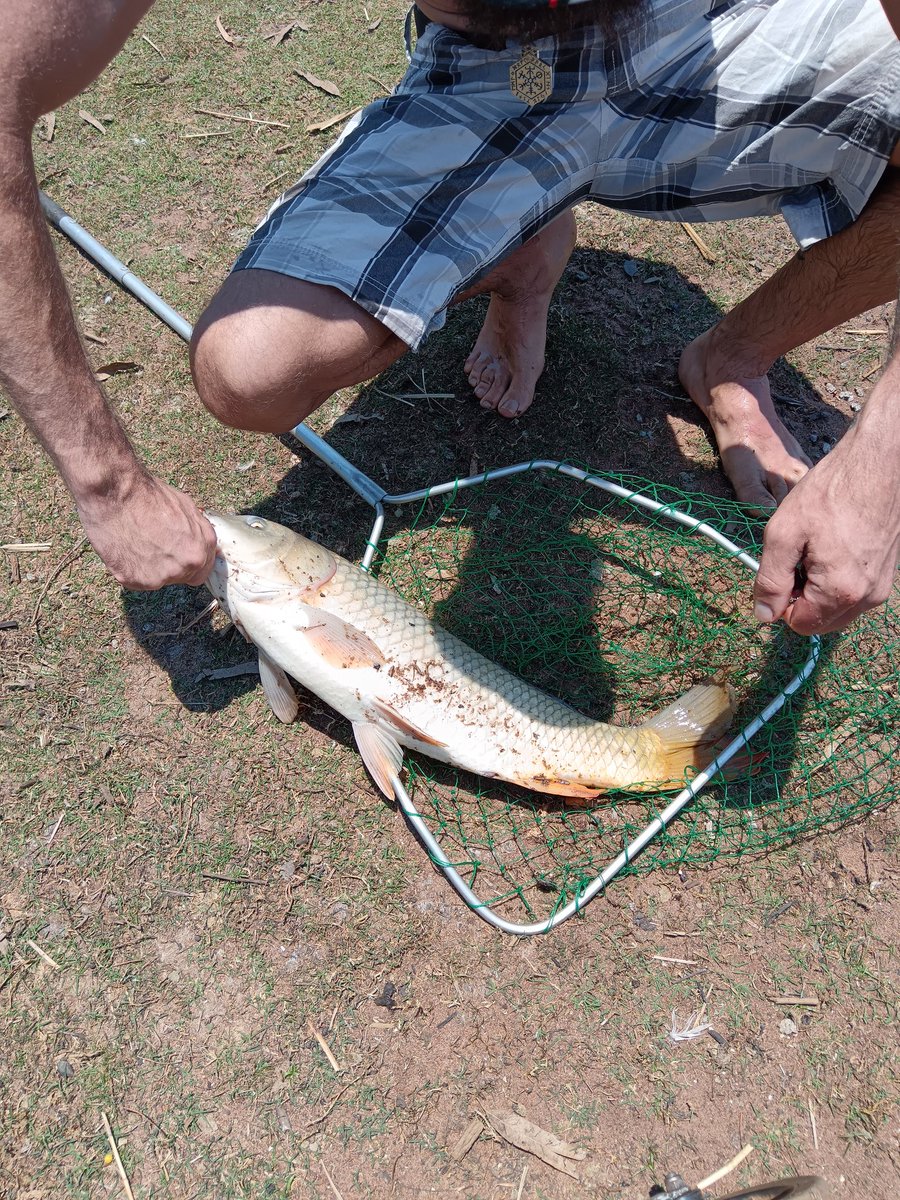 Marlize Nieuwoudt (@marlizenie69314) on Twitter photo 