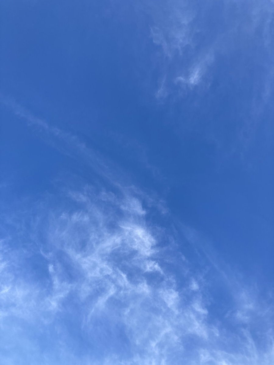 333💙青空　咲…陽が香る💙 tweet media