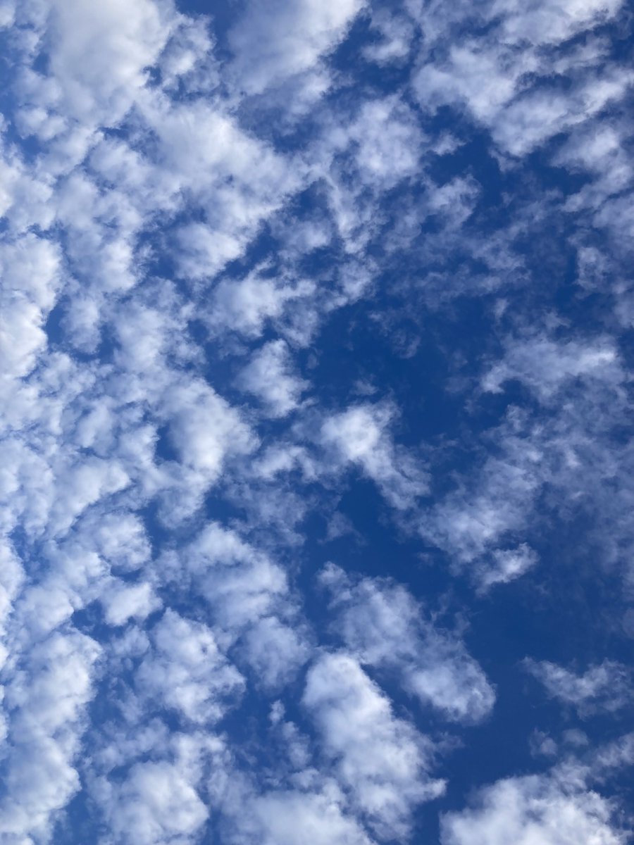 333💙青空　咲…陽が香る💙 tweet media
