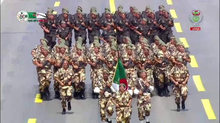 Numid Bouguerra tweet media