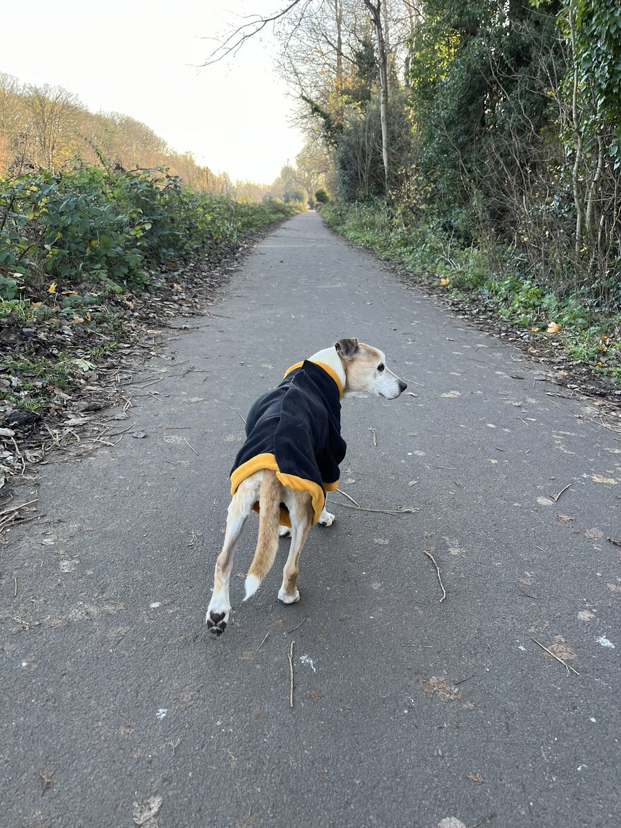 Pete Wilks tweet media