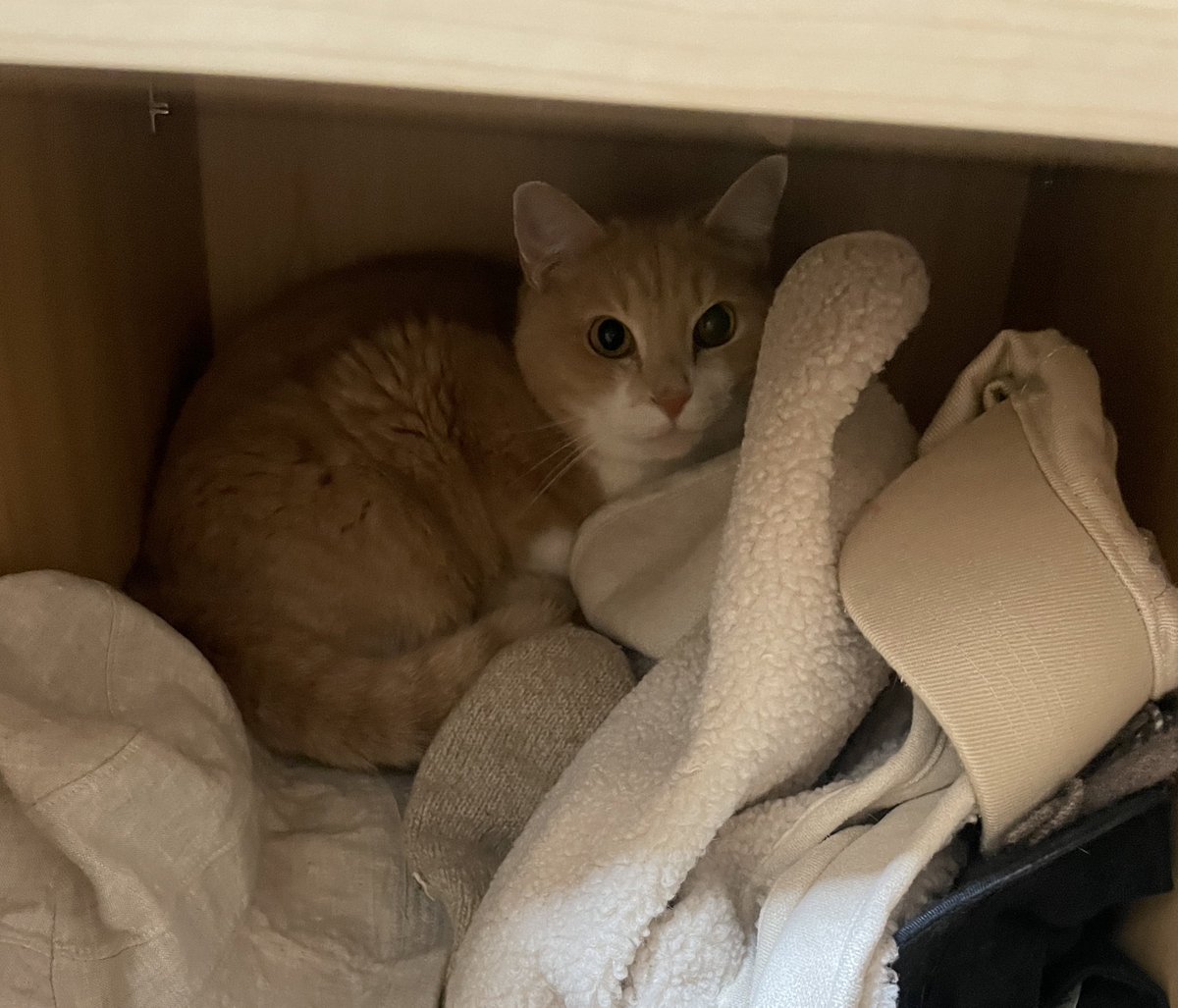 월동 준비 현장 포착