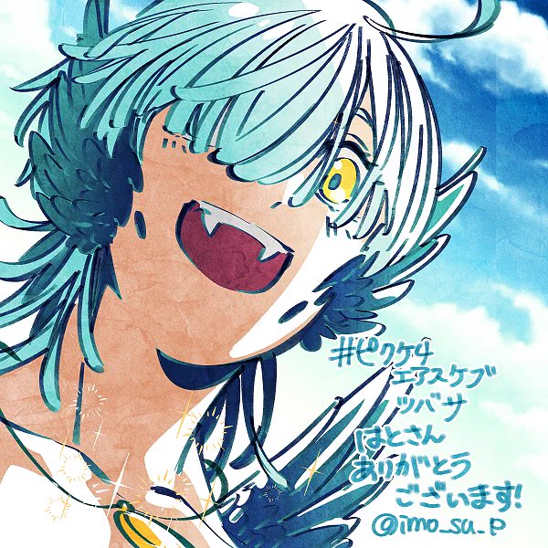  ピクケエアスケブ(23)ツバサくん