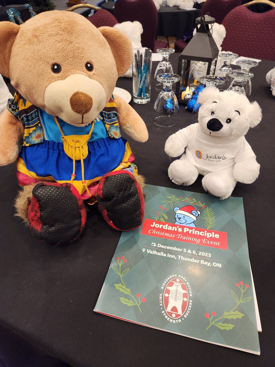 NookaaO's tweet photo. @CBelfitt and I are in Thunder Bay at the Jordan's Principle Training Event. We will be presenting about how I became a part of the @IndigenousLUL and @ISWK_LU family @LaurentianU. https://t.co/NpKVq0JSaa