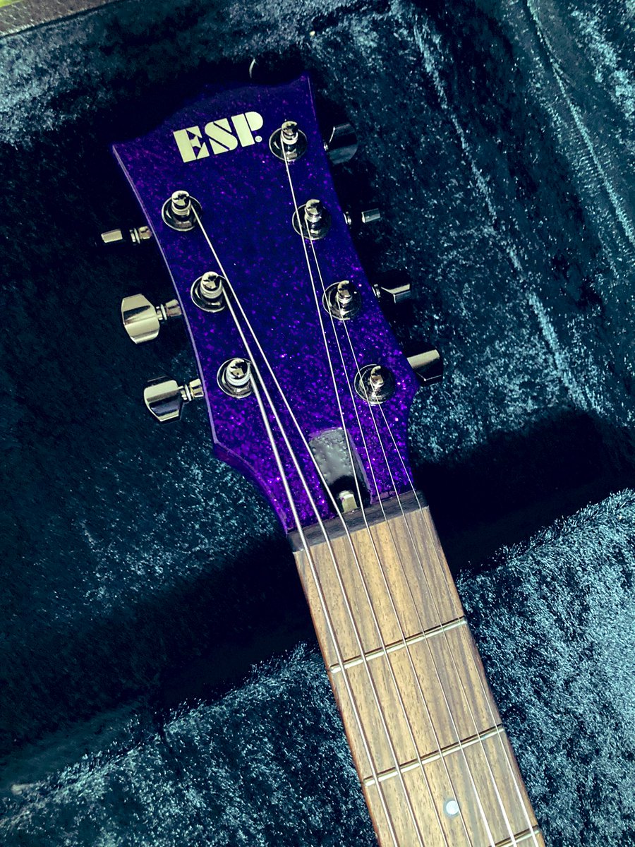 べにしょうが tweet media