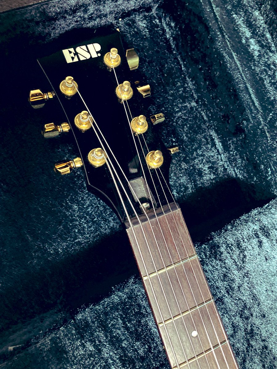 べにしょうが tweet media