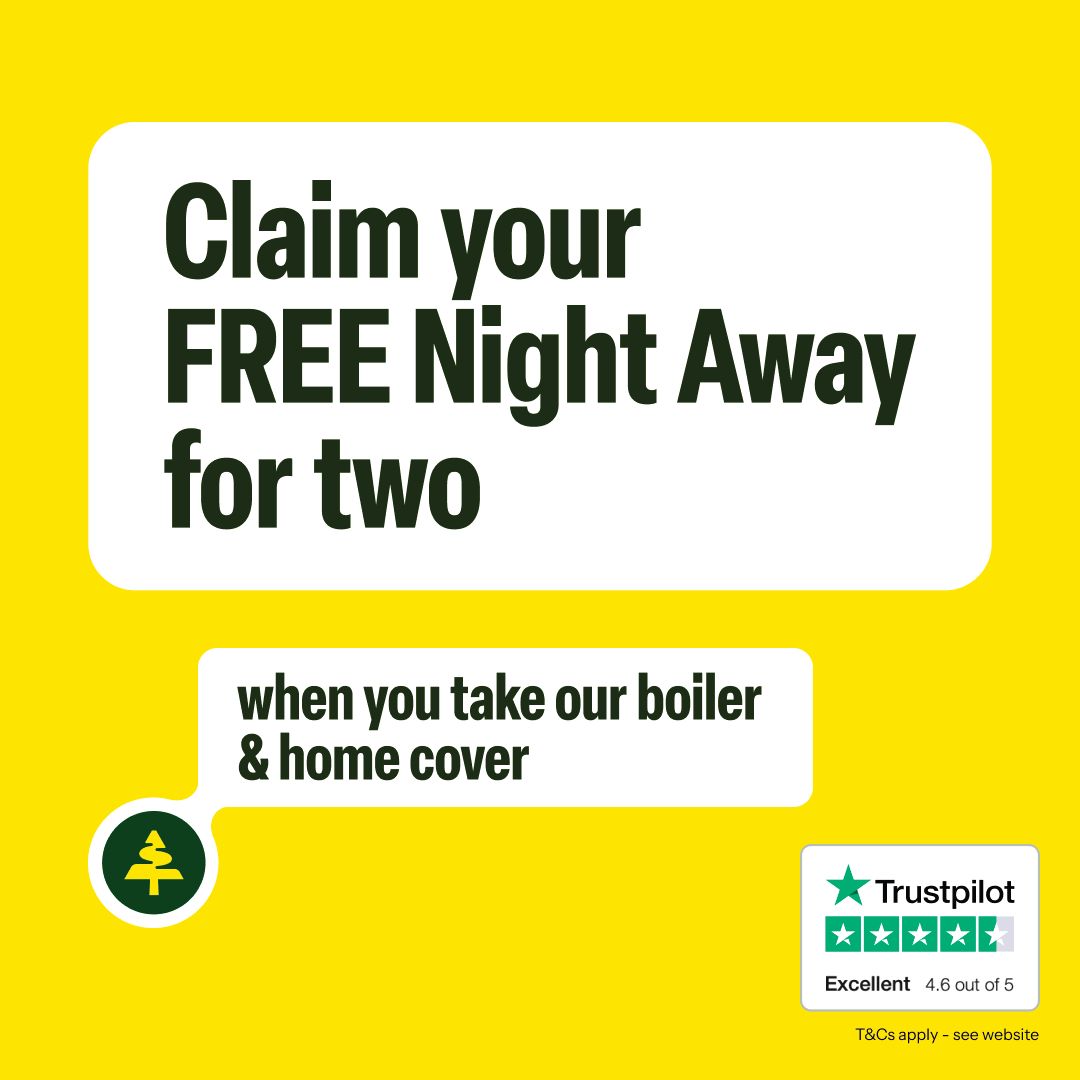 hometreeUK's tweet photo. Get a FREE Night Away in a UK Hotel for two worth up to £100 when you take out a Hometree cover plan by Midnight on Thursday 14th December 2023. Use code NIGHTAWAY at checkout.⁠ *Terms &amp; Conditions apply.

https://t.co/HITgSX4vPK
⁠
#Hometree #boilercover #homecover⁠ https://t.co/YxD1PdliU5