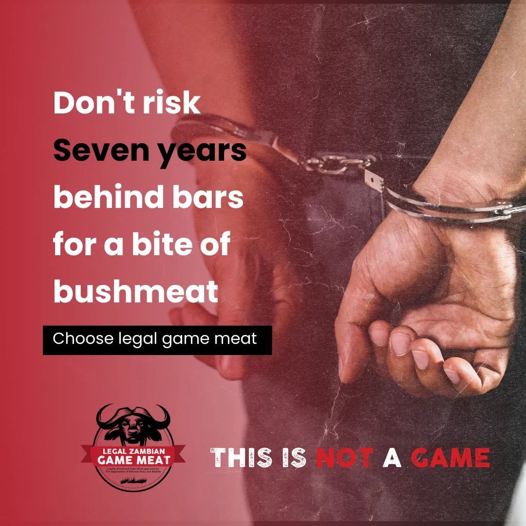 Conservation Advocates Zambia tweet media