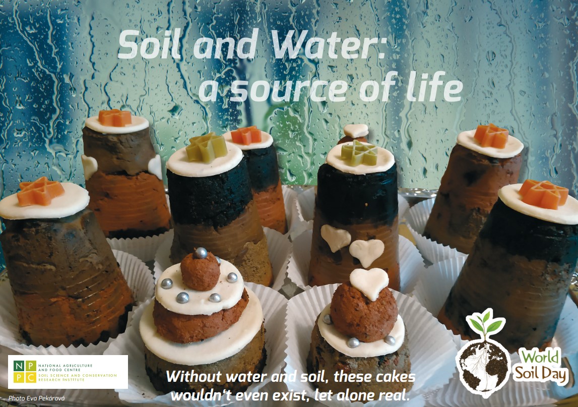 EJP SOIL celebrating World Soil Day - Enjoy another artful piece of the Soil &amp; Water cake :-)