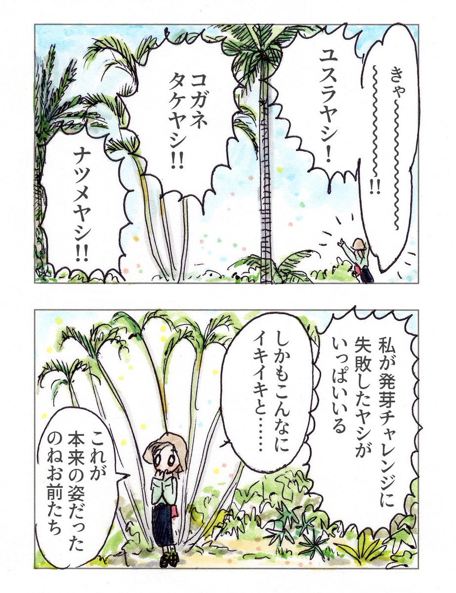 沖縄に行ってきました(7) 東南植物楽園2