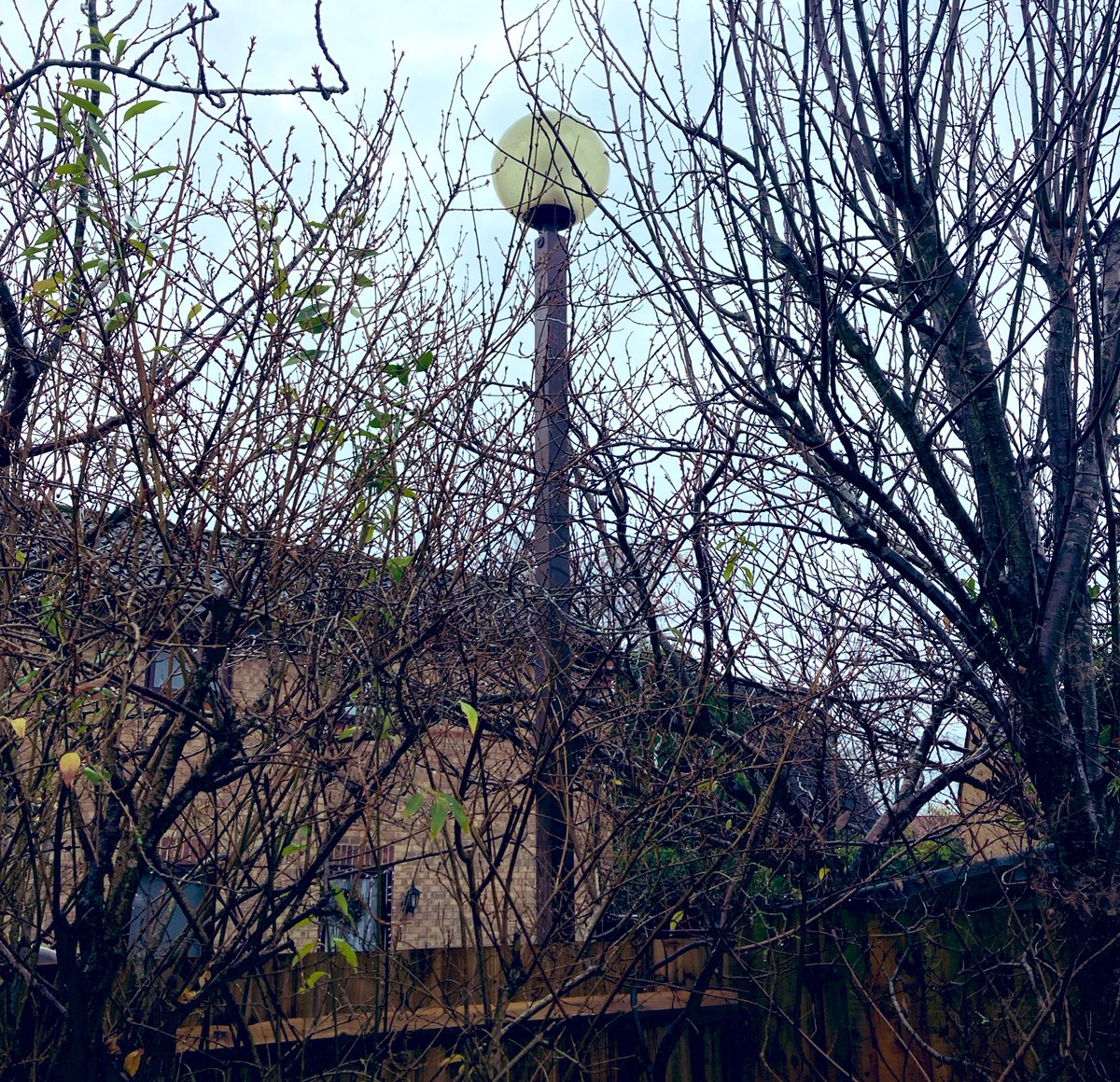 The Milton Keynes globe lights on our estate, including the one at the bottom of our garden, are being replaced today with downlighters