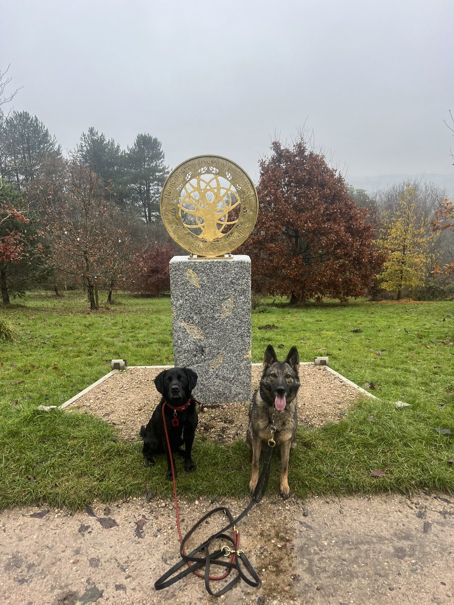 PD Jinx & RPD Duke 💙💙 tweet media
