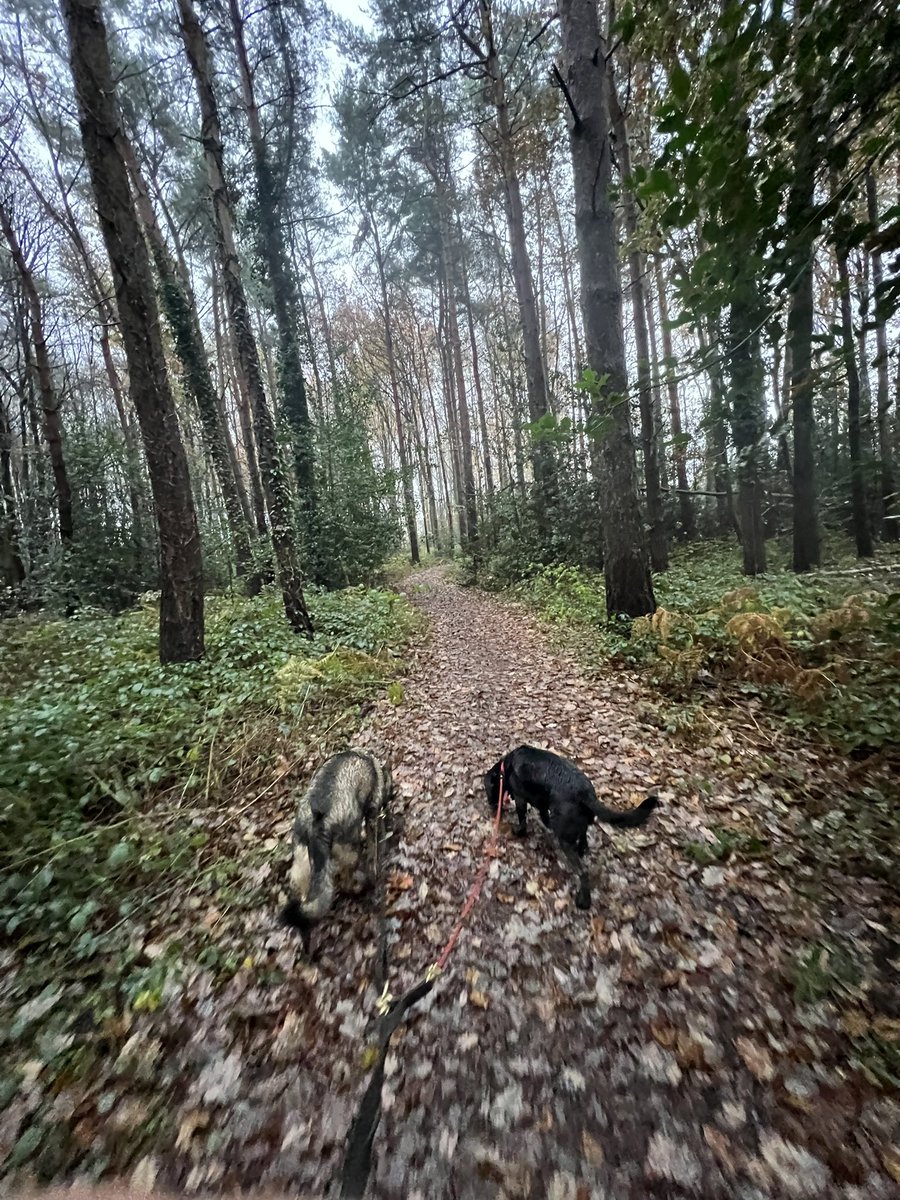 PD Jinx & RPD Duke 💙💙 tweet media