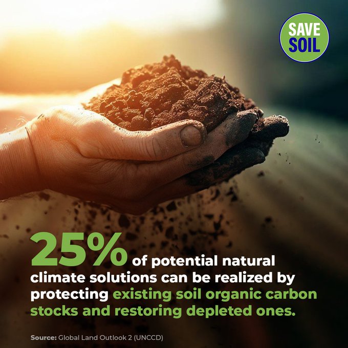 AlsoliCinzia's tweet photo. Healthy soil acts as a carbon sink, mitigating climate change impacts by sequestering carbon.  Let's call for policy action at #COP28 to Save Soil . #soilforclimateaction on World Soil Day 2023 https://t.co/zNKpb0cQDh