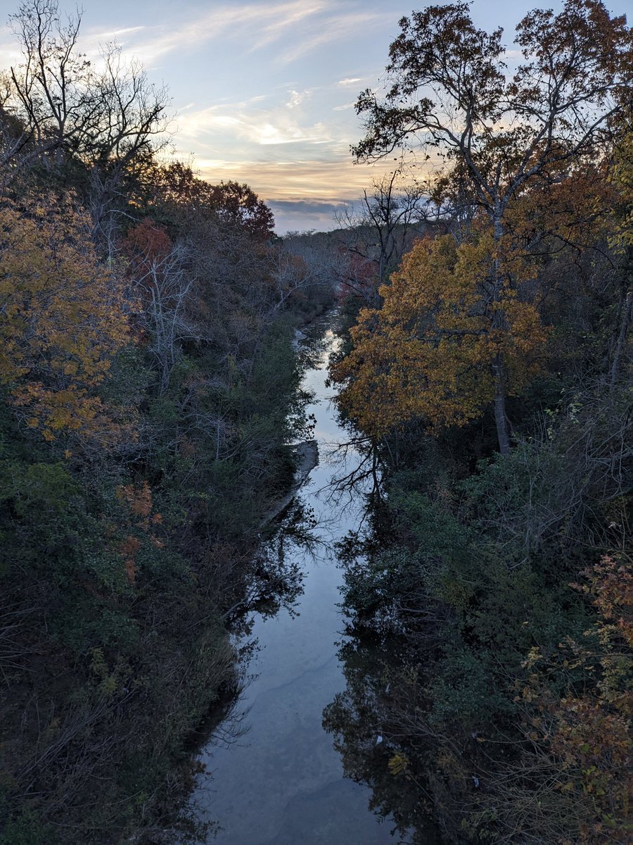 Senor Pants 👖| NicePants.Eth | Artist/Founder tweet media