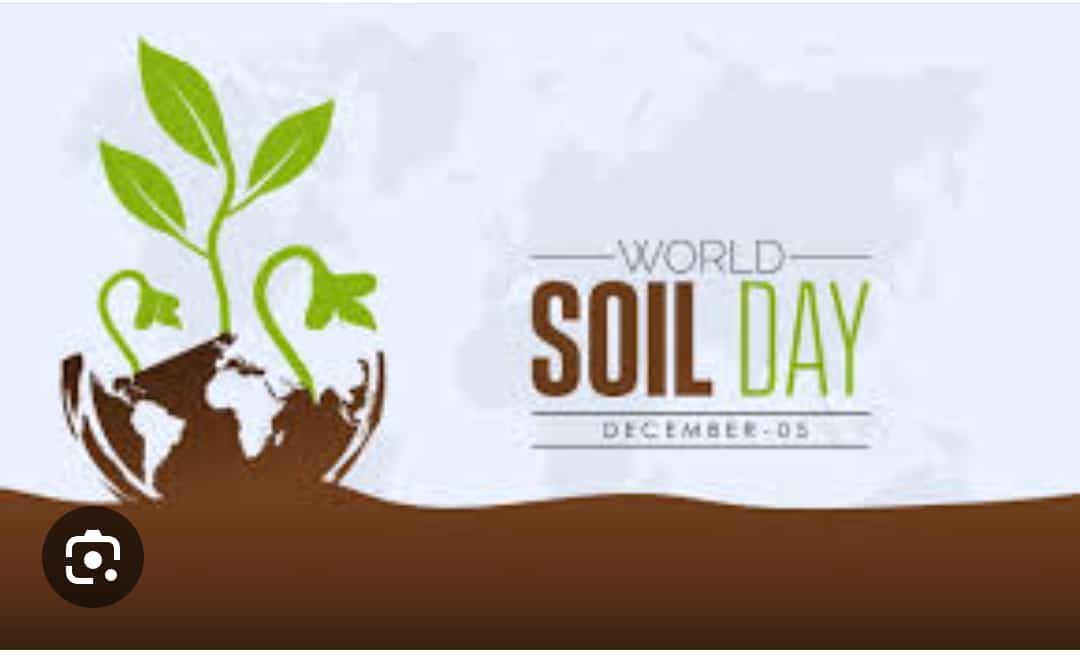 Gargi_C1001's tweet photo. As nations gather for #COP28, let's raise our voice to Save Soil . Healthy soil is key to achieve global climate goals. #soilforclimateaction 🤎💚 https://t.co/HY5X6KlrGl