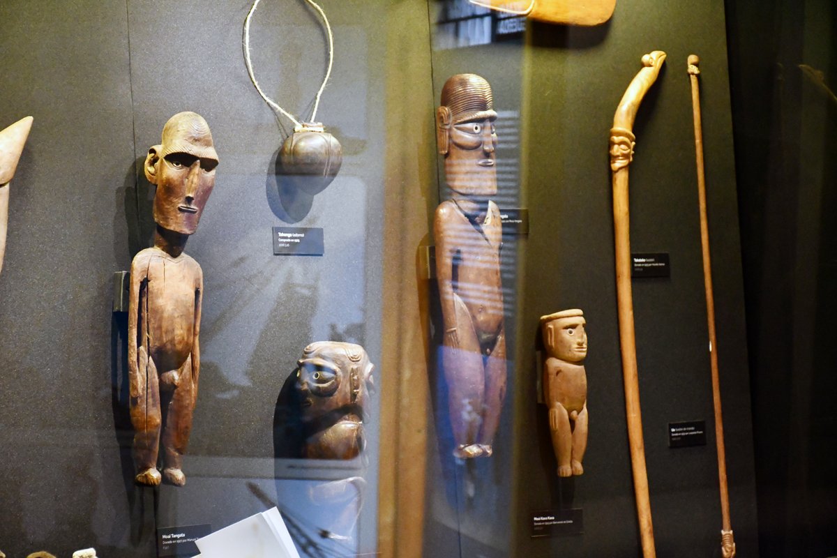 Museo Nacional de Historia Natural tweet media