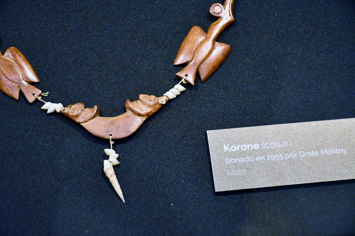 Museo Nacional de Historia Natural tweet media