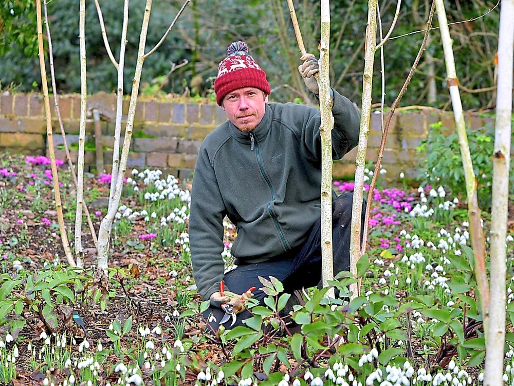 6 Week Gardening Course with our Head Gardener for details of the course and how to book click on the link dorothyclivegarden.co.uk/events/event/6…
#garden #gardening #course #gardeningcourse #dorothyclivegarden